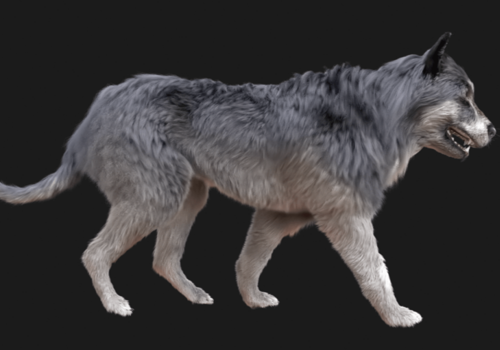 Screen Shot 2022-06-14 at 6.10.08 AM