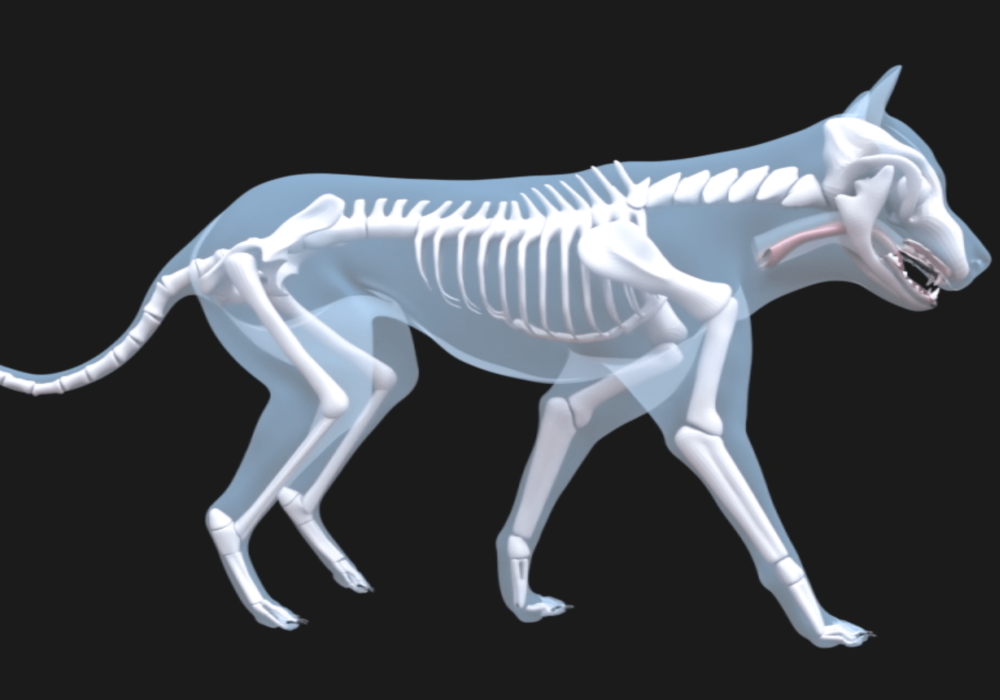 Screen Shot 2022-06-14 at 6.10.12 AM