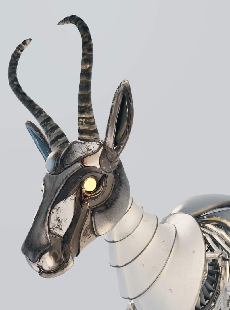 springbot_closeup_studio copy