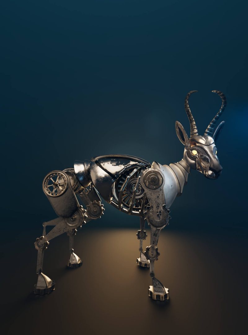 springbot_fullbody_darkstudio copy